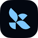 LangChain 图标