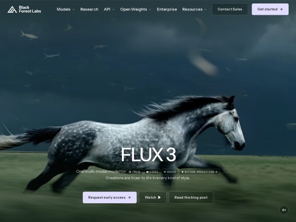 Flux 网站预览