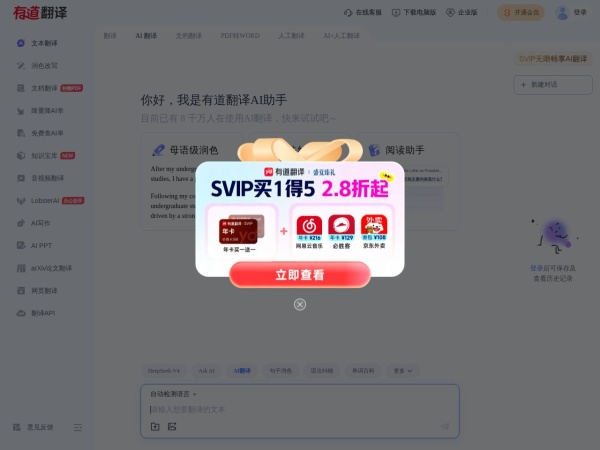 有道翻译AI助手 网站预览
