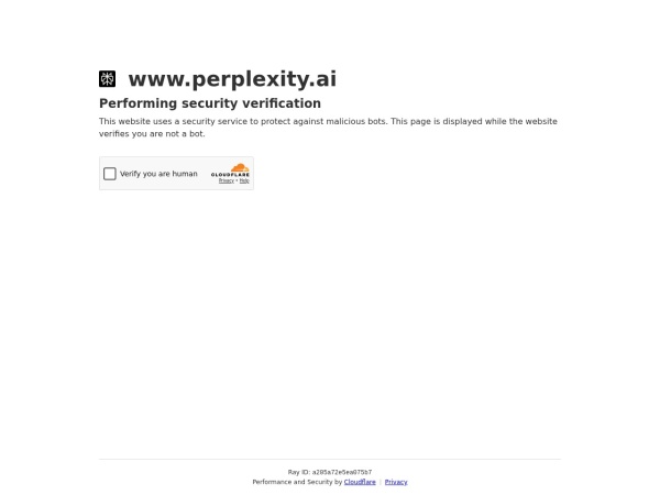 Perplexity 网站预览