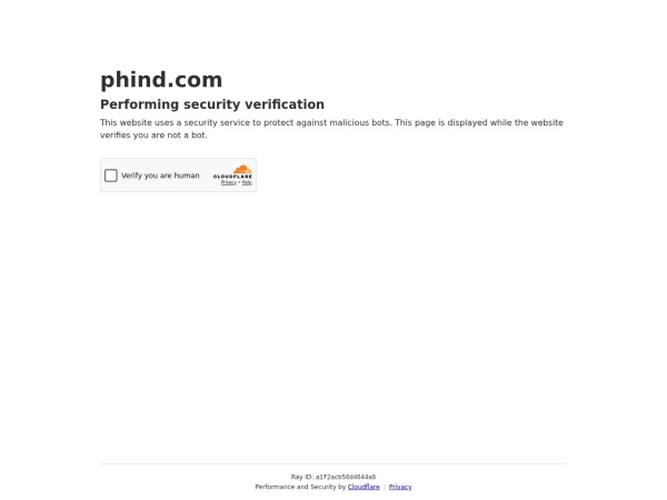 Phind 网站预览
