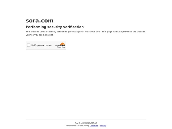 Sora 网站预览