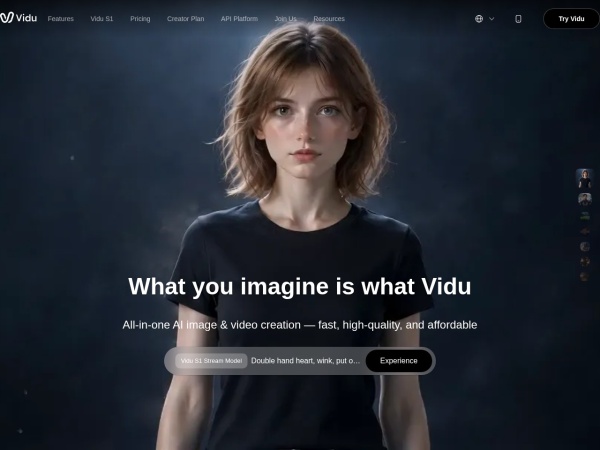 Vidu 网站预览