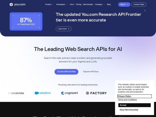 You.com 网站预览